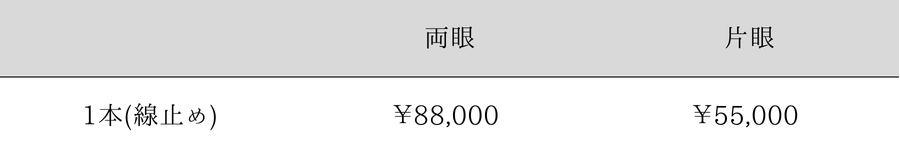 瞼板法による埋没二重の料金表